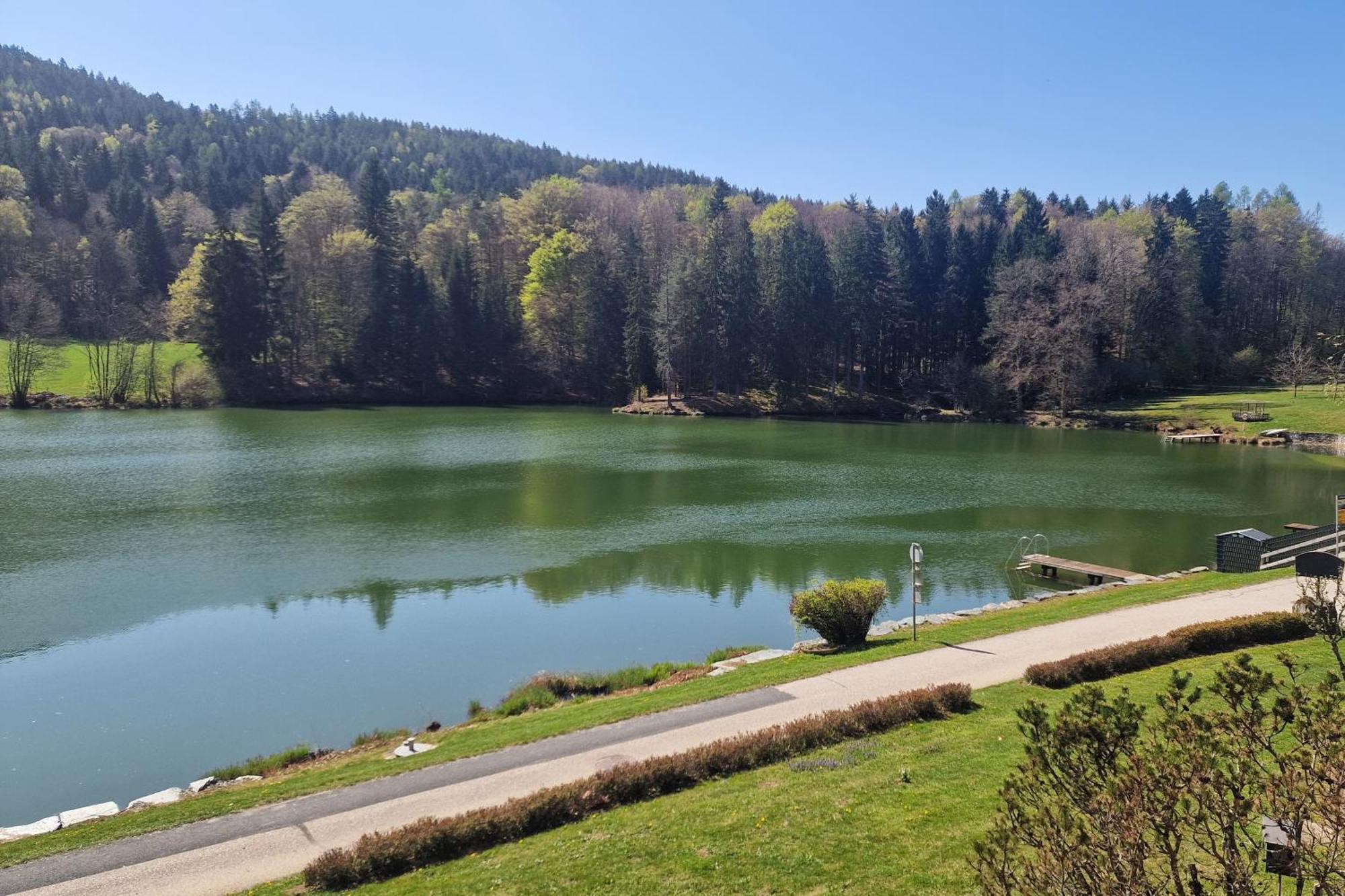 Landgasthof Trattnig Schiefling am See Oda fotoğraf