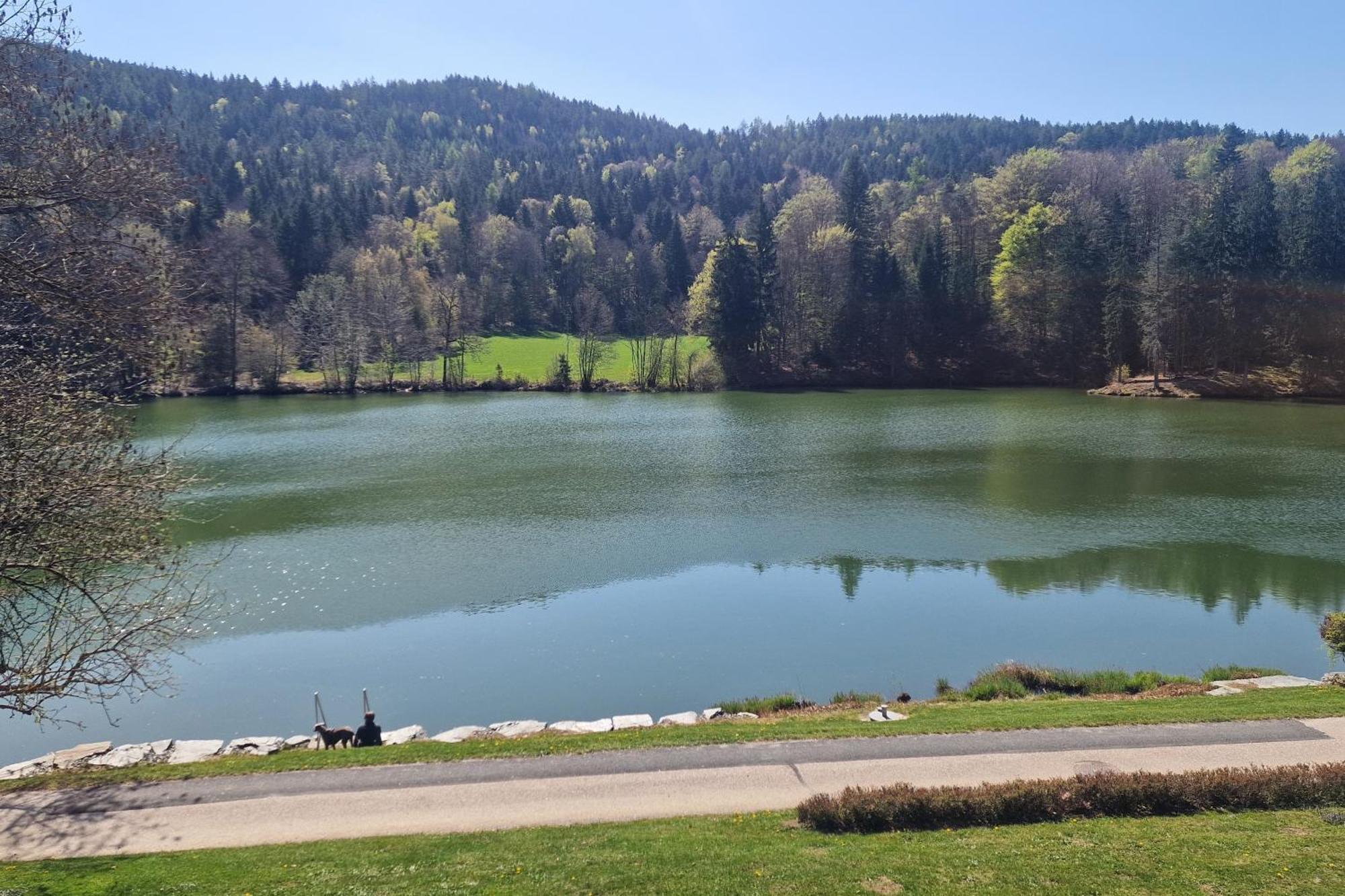 Landgasthof Trattnig Schiefling am See Oda fotoğraf