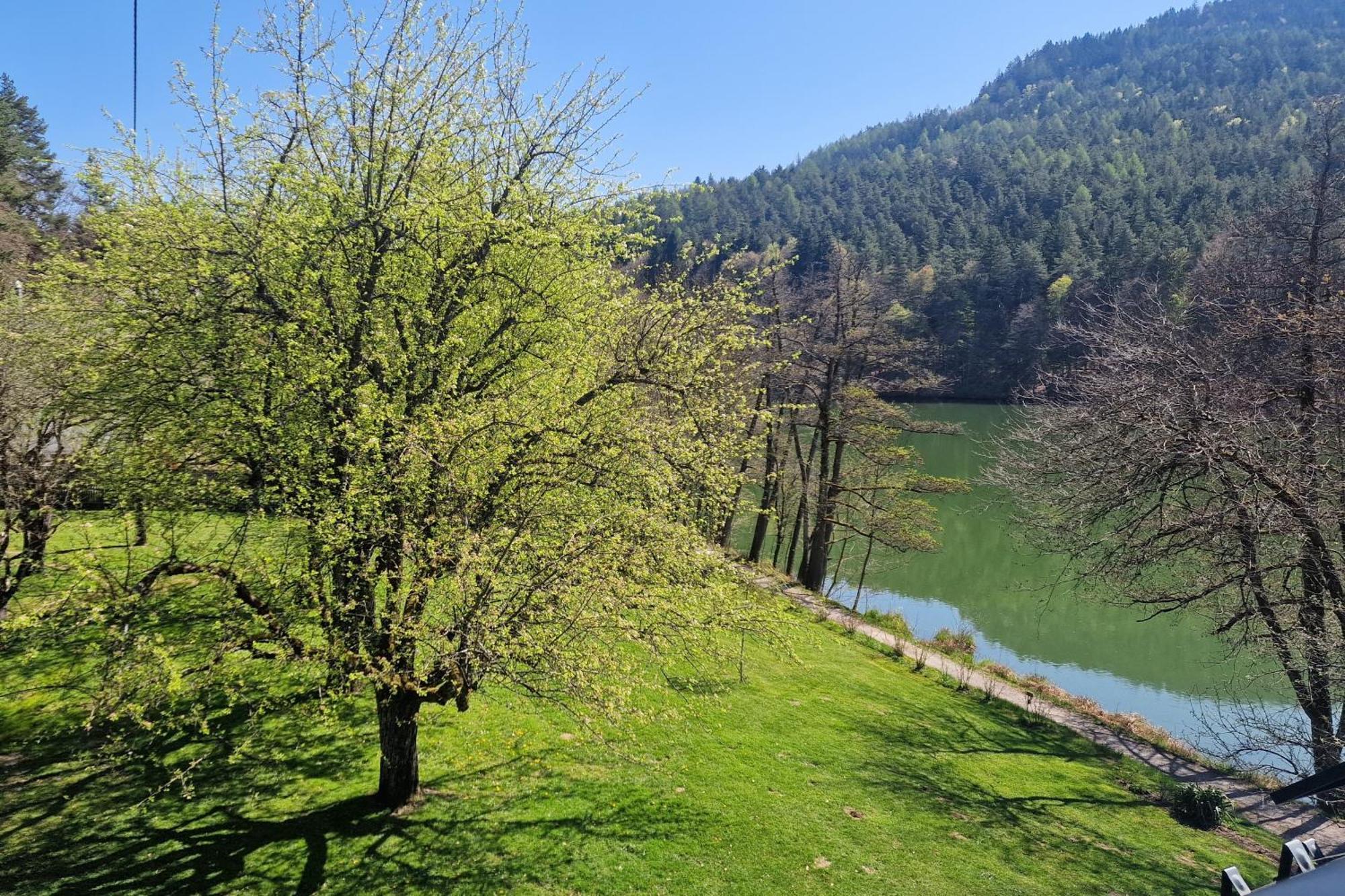 Landgasthof Trattnig Schiefling am See Oda fotoğraf