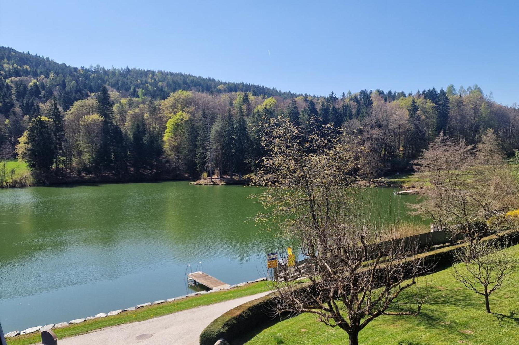 Landgasthof Trattnig Schiefling am See Oda fotoğraf