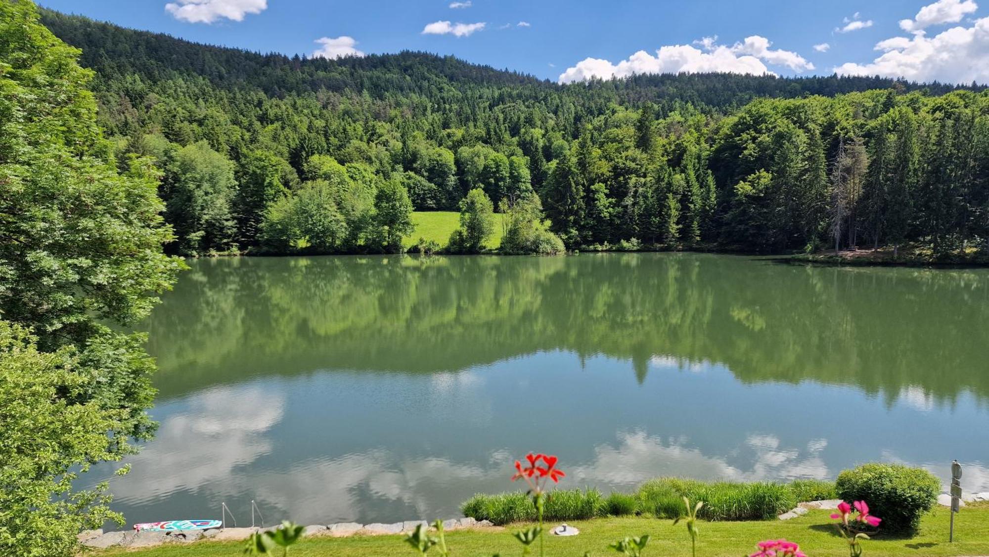 Landgasthof Trattnig Schiefling am See Oda fotoğraf