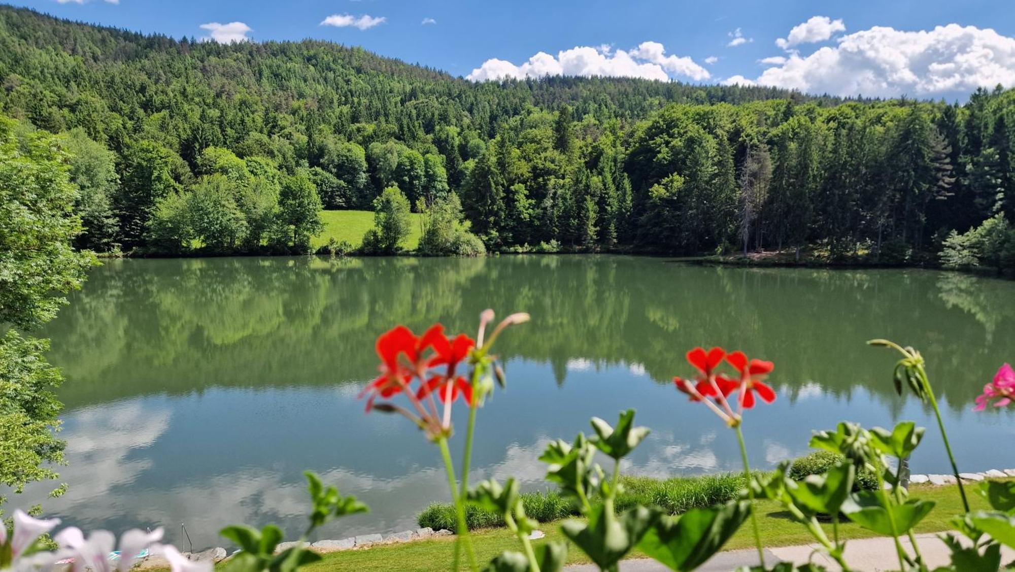 Landgasthof Trattnig Schiefling am See Oda fotoğraf